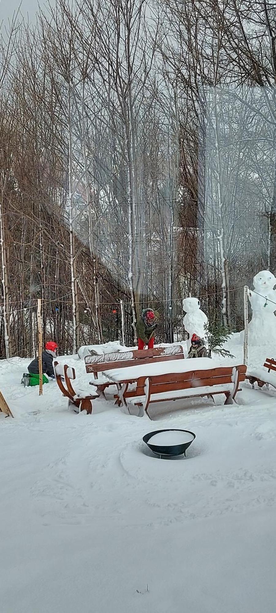 Karkonosz 4 Domek alpejski *